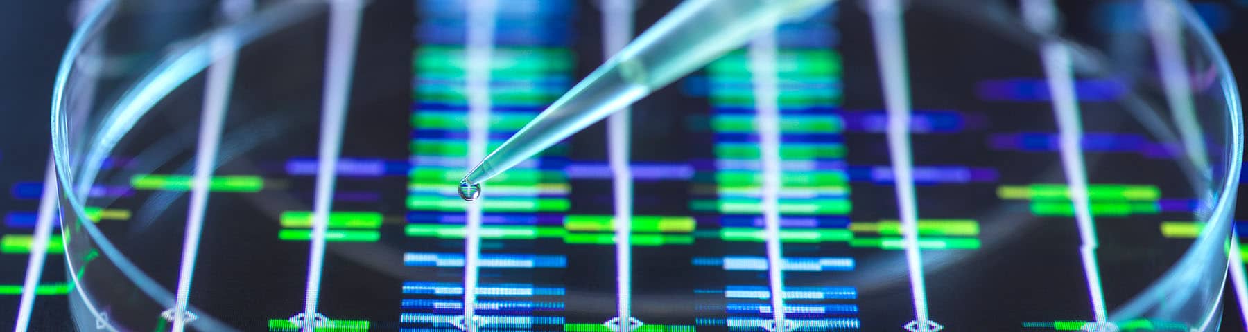 Close-up of a pipette dropping liquid onto a petri dish with a DNA sequence in the background.